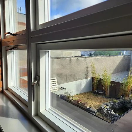 Serviced 3* מיינות'